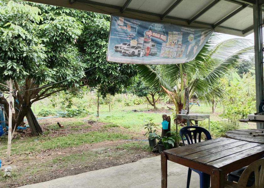 Chiang Mai Province San Sai Surrounding environment