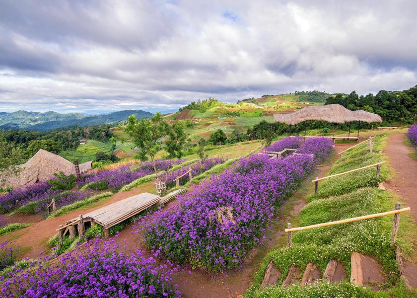 Chiang Mai Province Mae Rim 