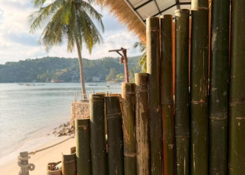Surat Thani Province Koh Tao Beach