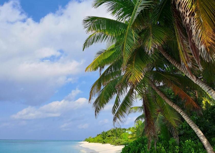 North Ari Atoll Thoddoo Surrounding environment
