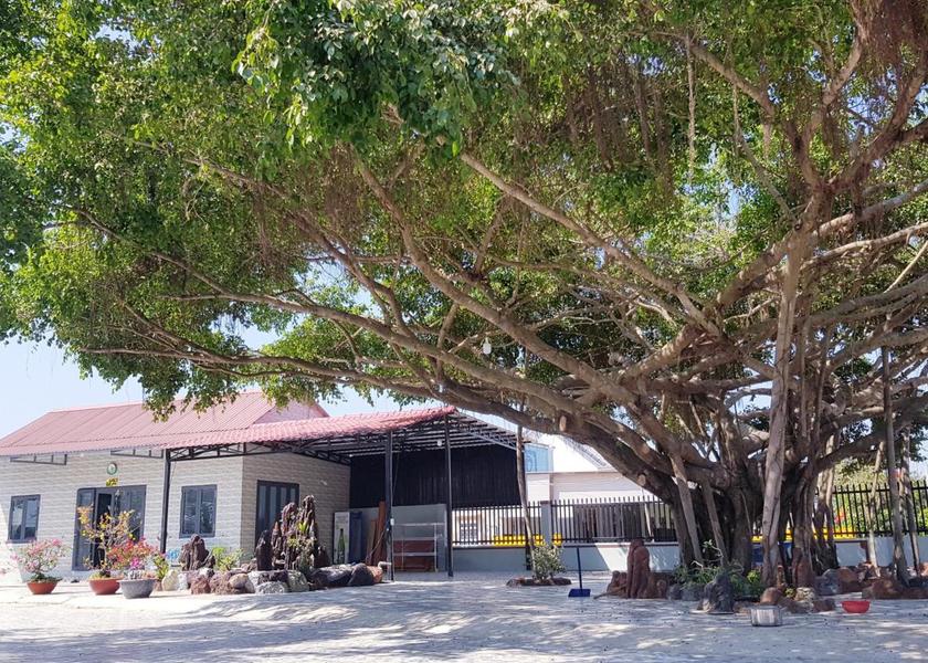 Lam Dong Province Ham Thuan Nam 