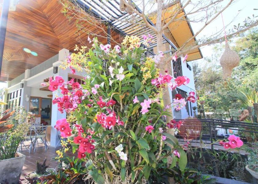 Maha Sarakham Province Maha Sarakham Garden