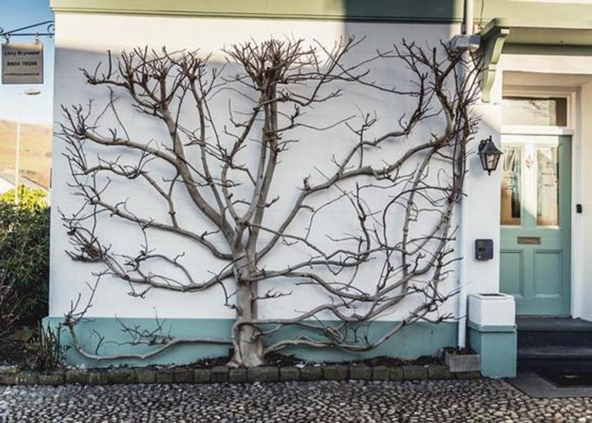 Wales Machynlleth Entrance