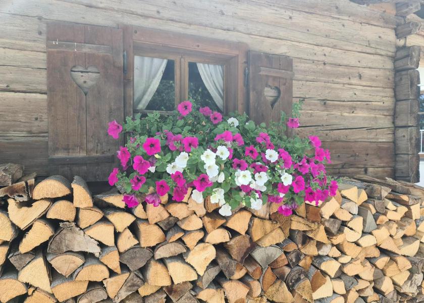 Tyrol Kaltenbach 
