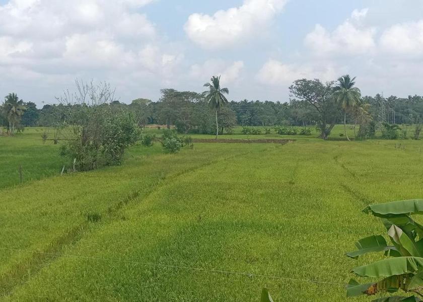 North Central Province Habarana 