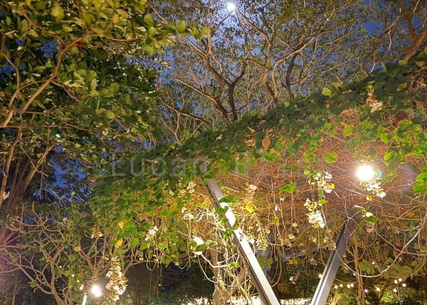 Calabarzon Nasugbu Garden