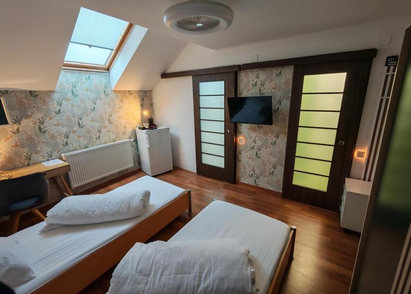 Cluj County Cluj-Napoca Double Room with Private Bathroom