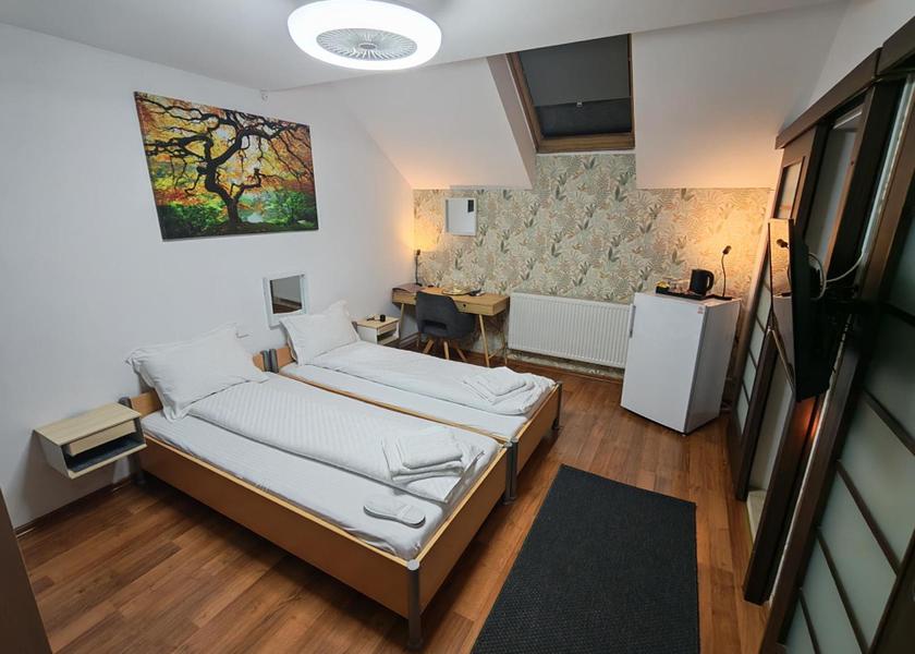 Cluj County Cluj-Napoca Double Room with Private Bathroom