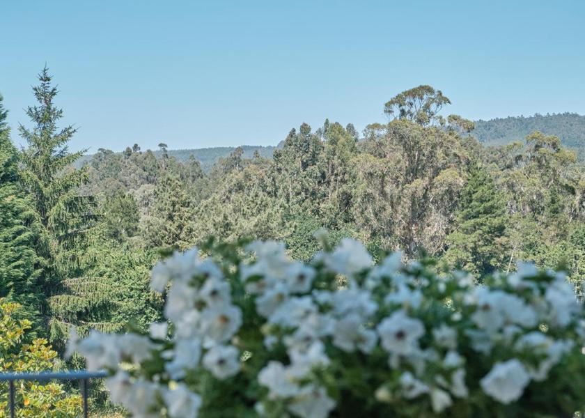 Galicia O Pino View
