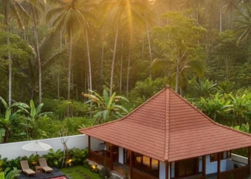 Bali Payangan 