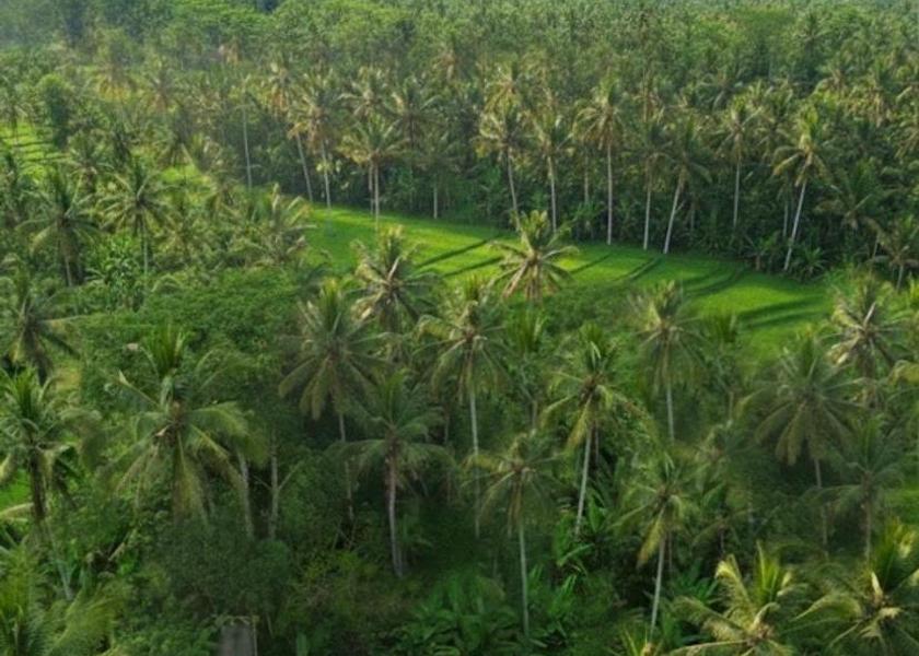 Bali Payangan Exterior view