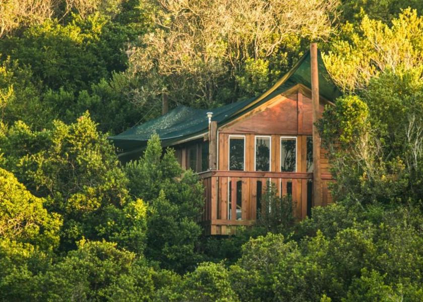 Western Cape Knysna 