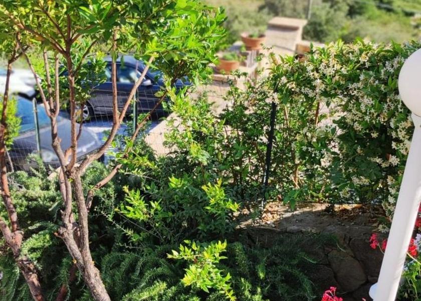 Sardinia San Teodoro 