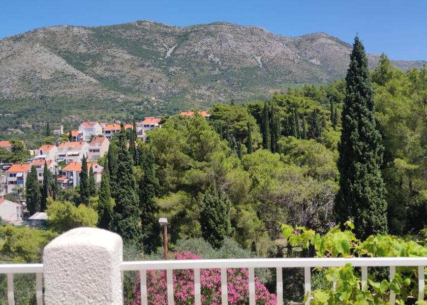 Dubrovnik-Neretva Konavle Surrounding environment