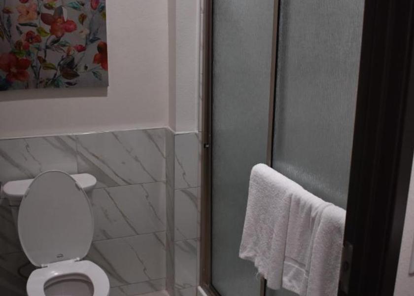Texas Humble Bathroom