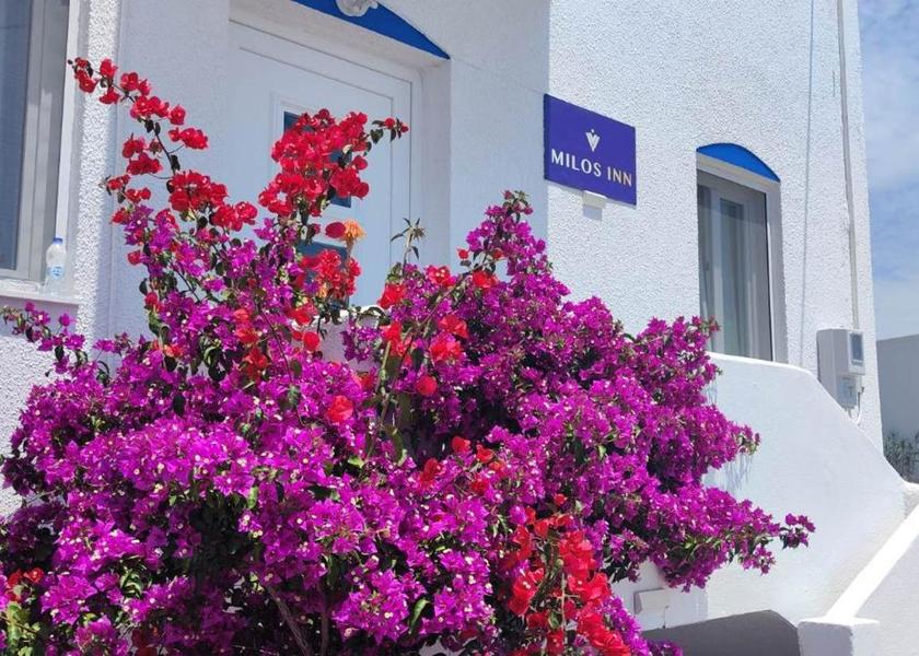 South Aegean Milos 