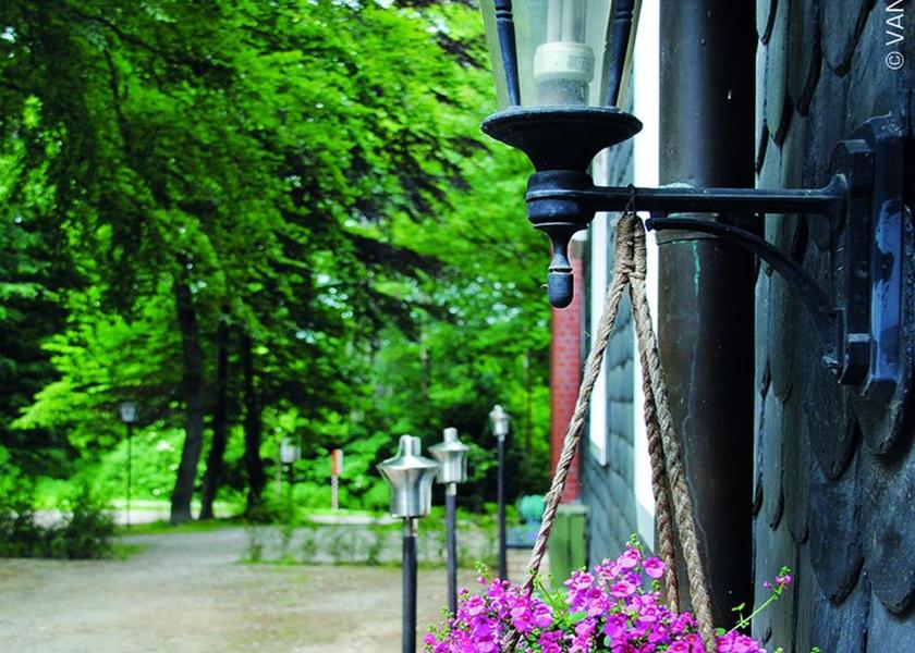 Lower Saxony Hildesheim Garden
