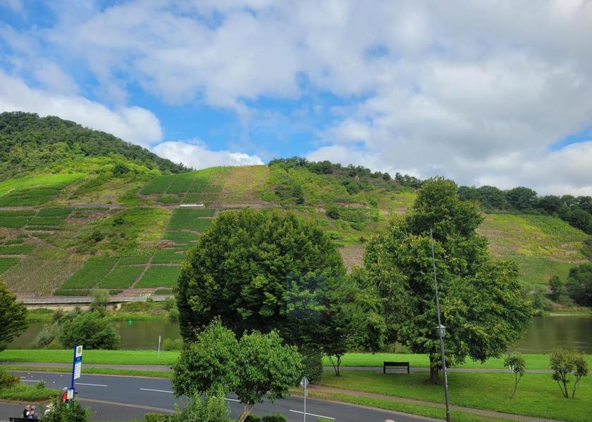 Rhineland-Palatinate Bruttig-Fankel Surrounding environment