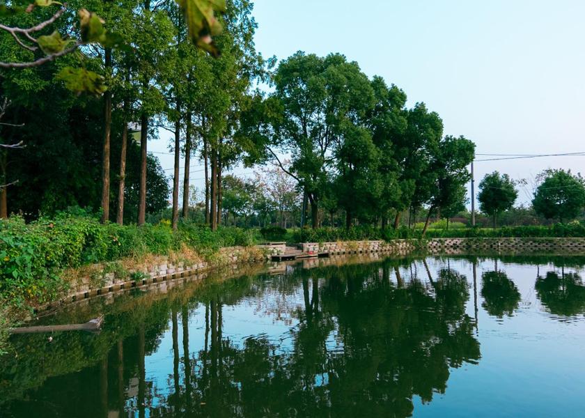 Zhejiang Jiaxing Exterior view
