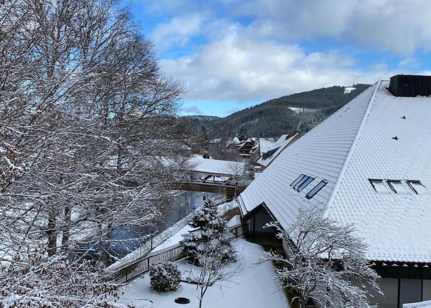 Baden-Württemberg Titisee-Neustadt View