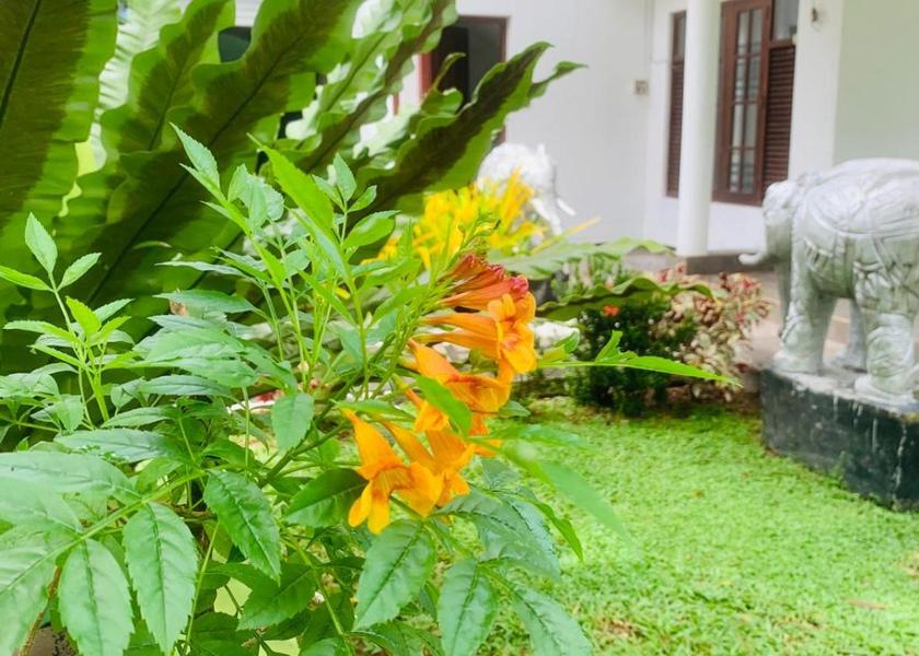 Western Province Sri Jayawardenepura Kotte 