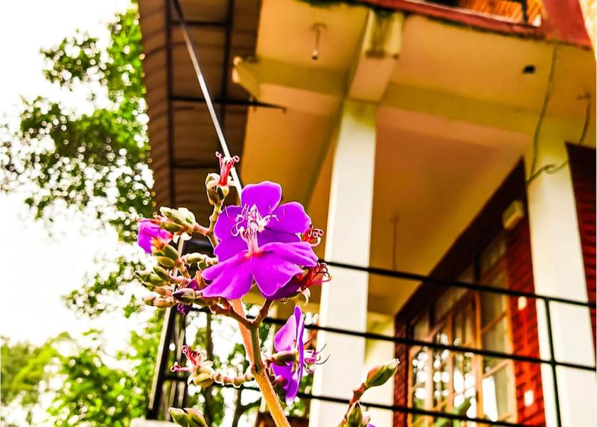 Uva Province Ella Exterior view