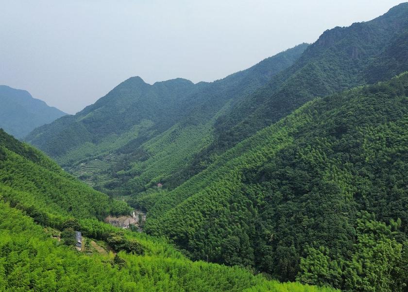 Zhejiang Quzhou 