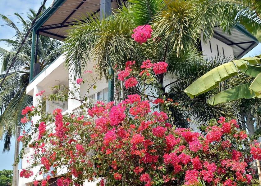 Western Province Negombo Exterior view