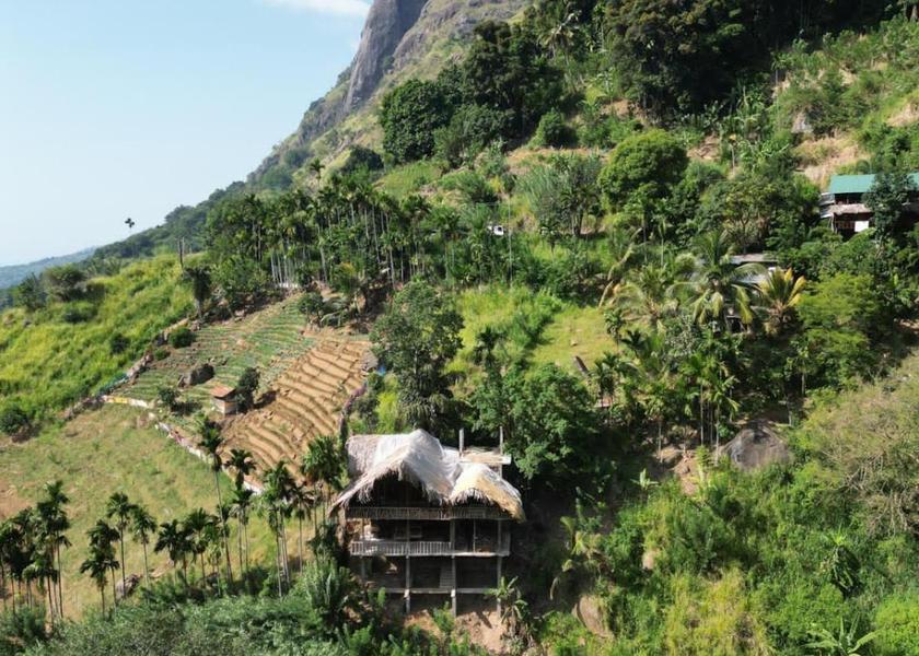 Uva Province Ella 