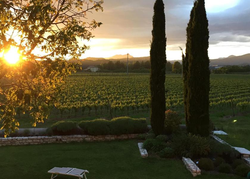 Veneto Sant'Ambrogio di Valpolicella Garden