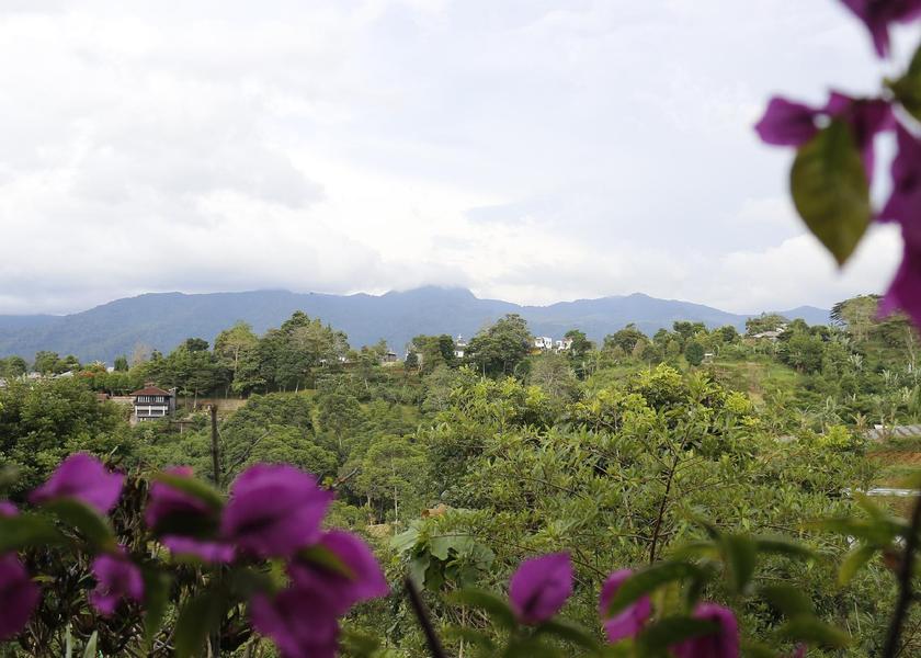 West Java Cisarua 
