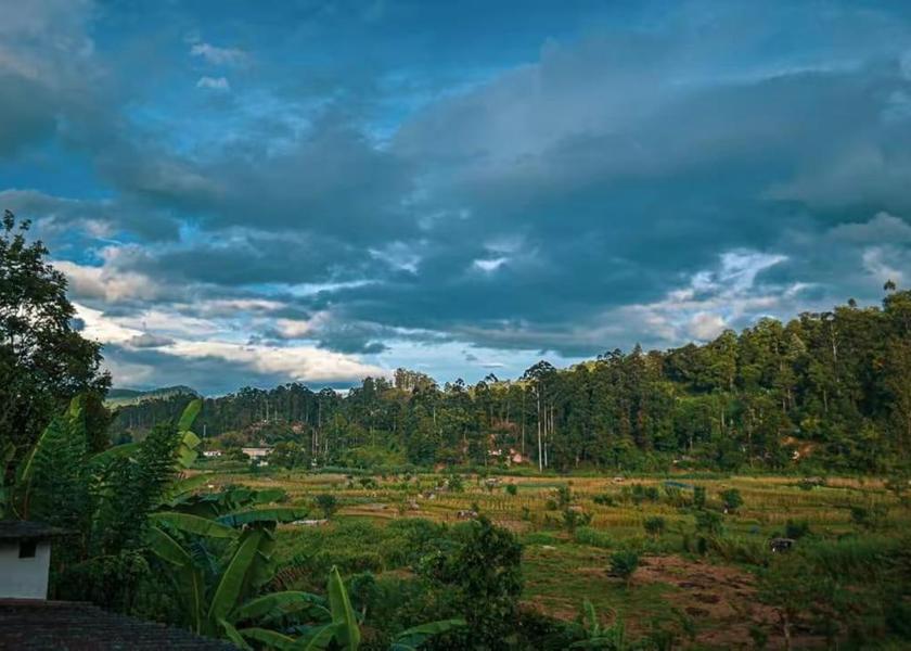 Uva Province Bandarawela 