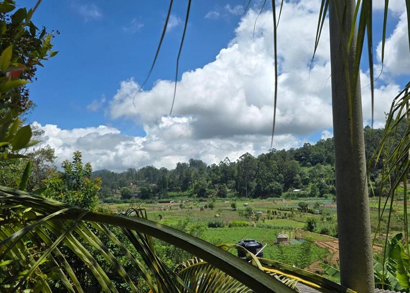 Uva Province Bandarawela 