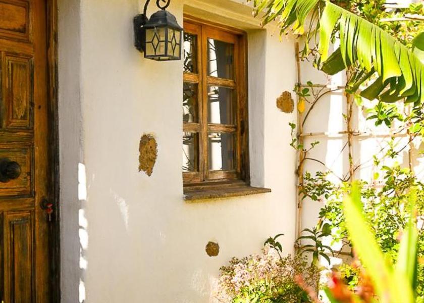 Canary Islands Santa Cruz de Tenerife Exterior view