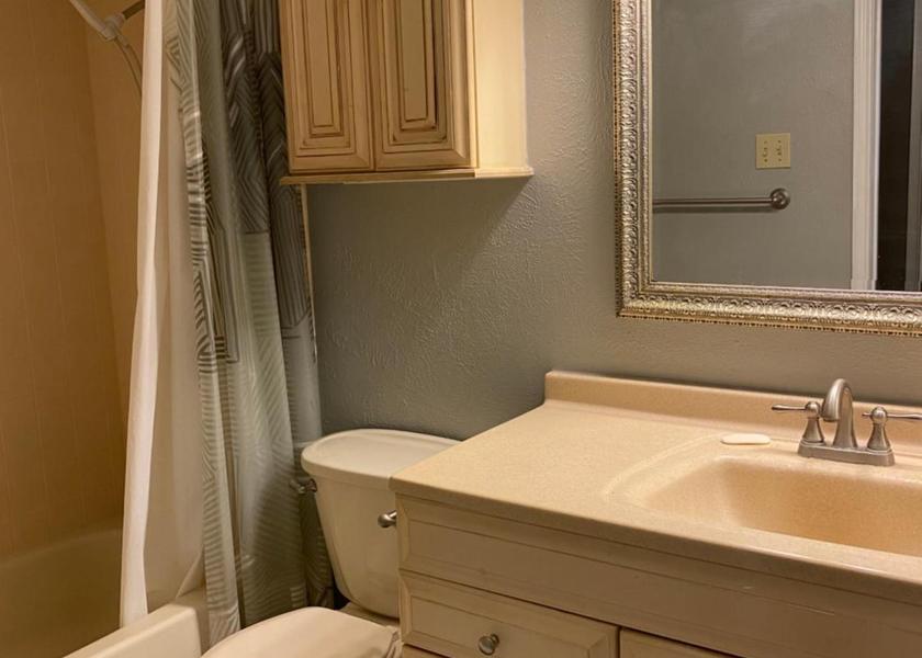 Texas Grand Prairie Bathroom