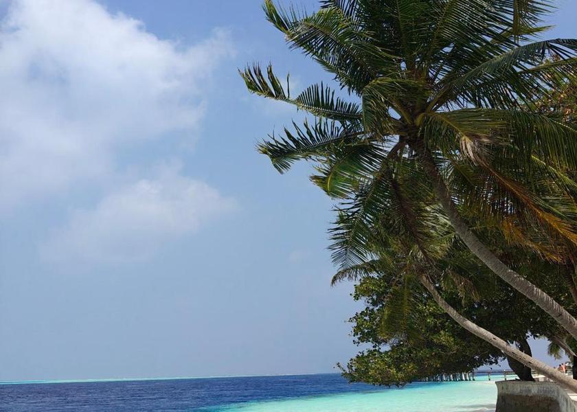 South Ari Atoll Mahibadhoo 