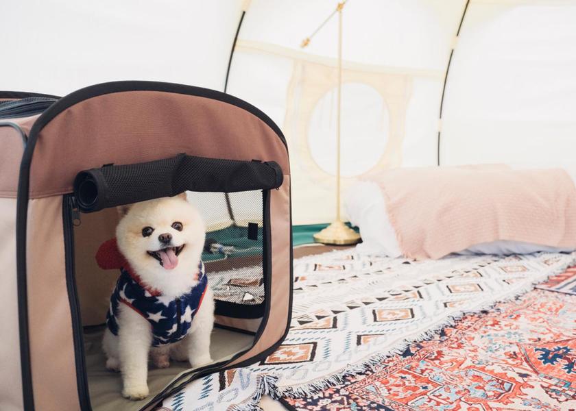 Oita Taketa Tent