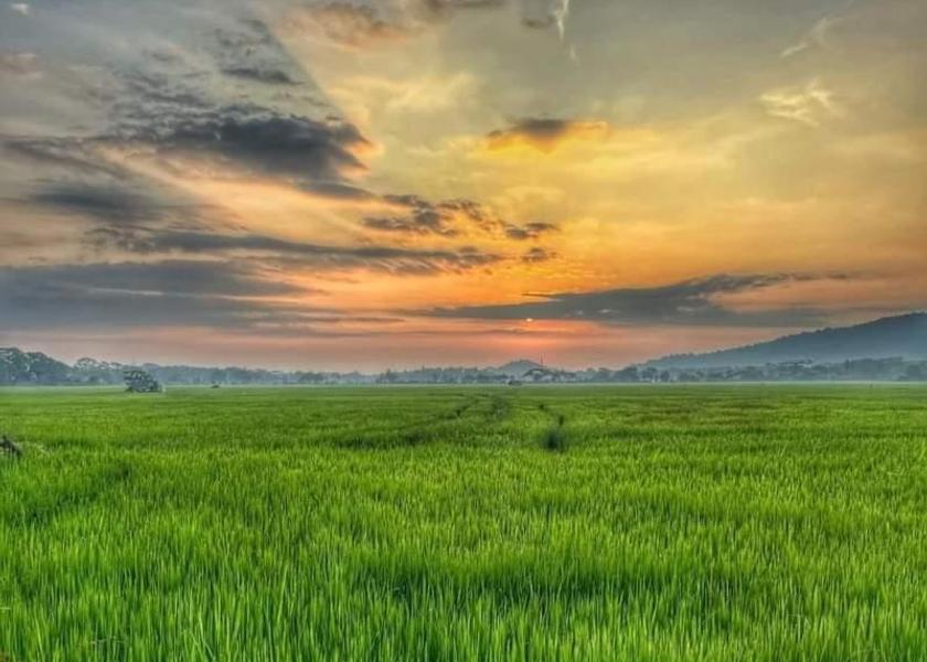 Uva Province Kataragama Nearby attraction