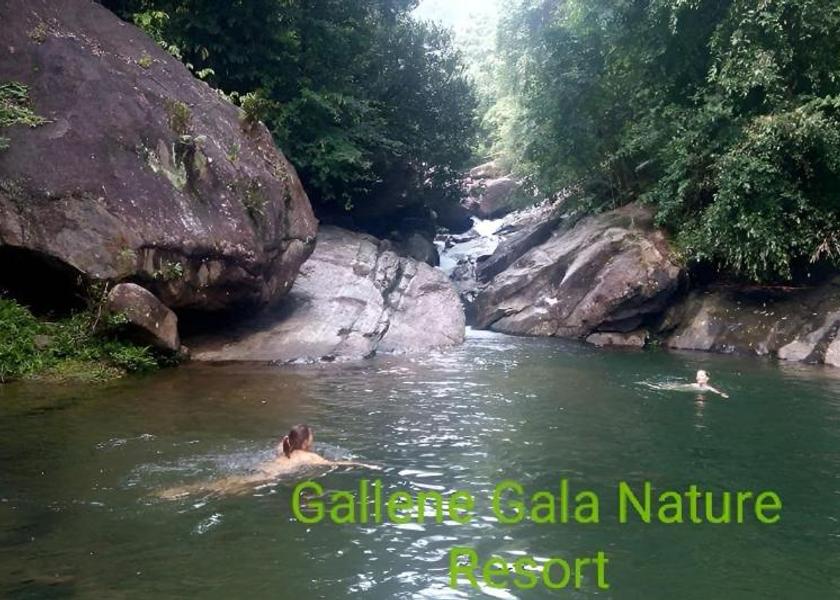 Sabaragamuwa Province Kithulgala 