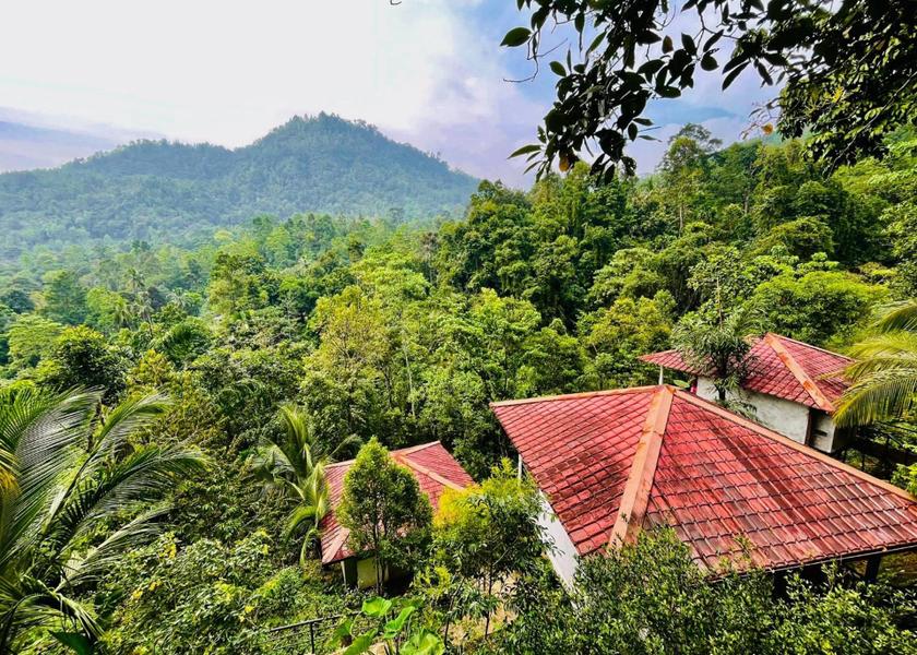 Sabaragamuwa Province Kithulgala 