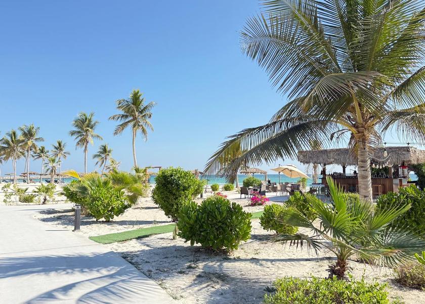 Dhofar Governorate Salalah Beach