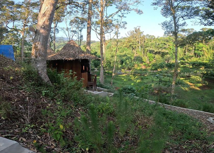 North Sumatra Bohorok Surrounding environment