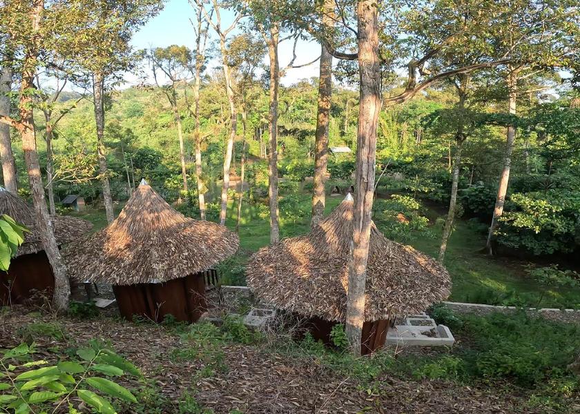 North Sumatra Bohorok Surrounding environment