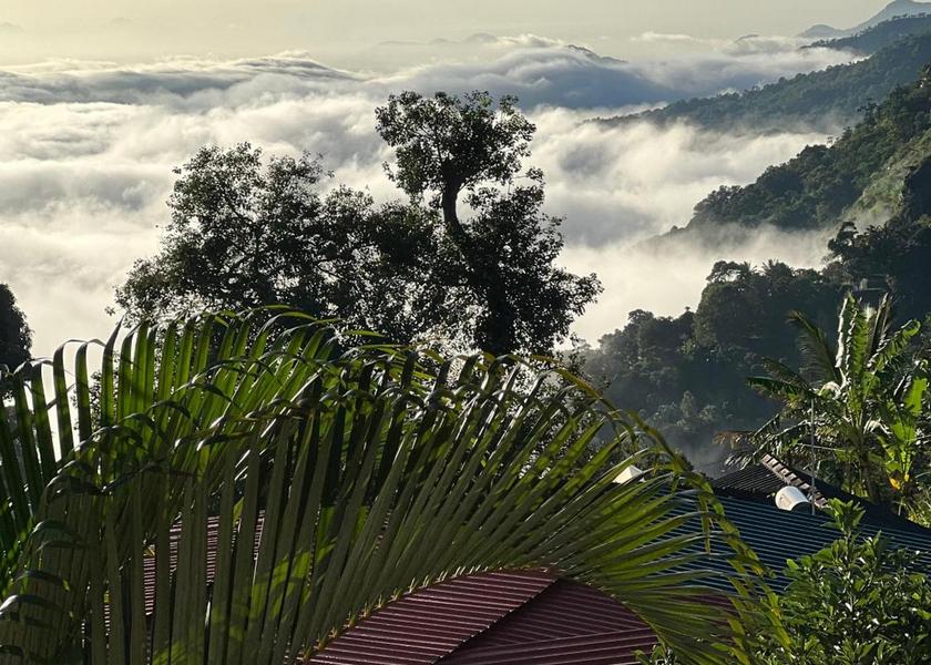 Uva Province Ella 