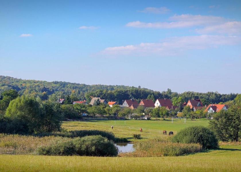 Saxony-Anhalt Ilsenburg Facilities