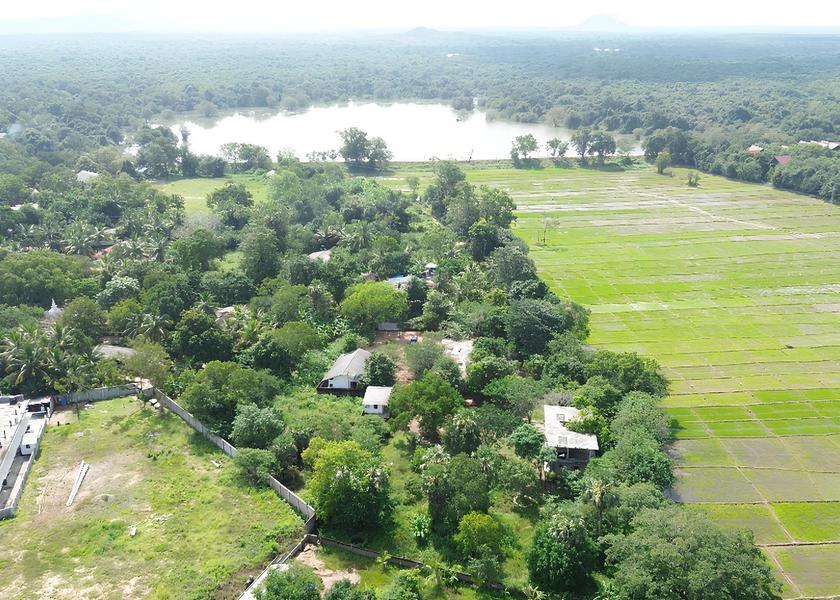 North Central Province Habarana 