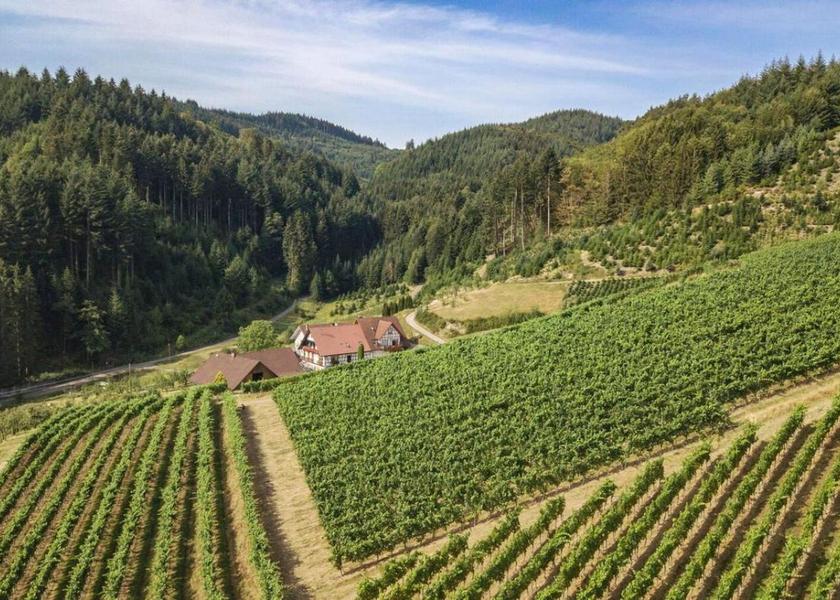 Baden-Württemberg Oberkirch Surrounding environment