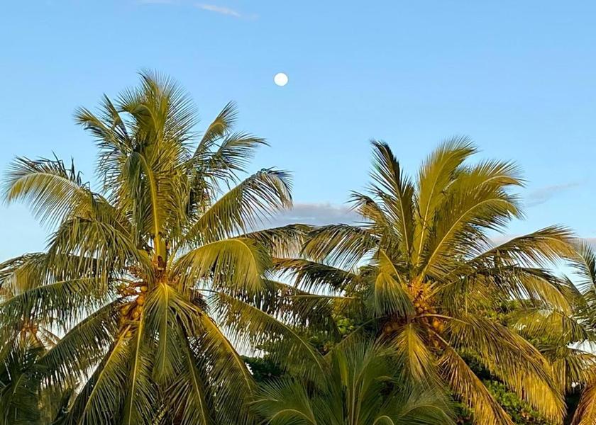 Southern Province Tangalle 
