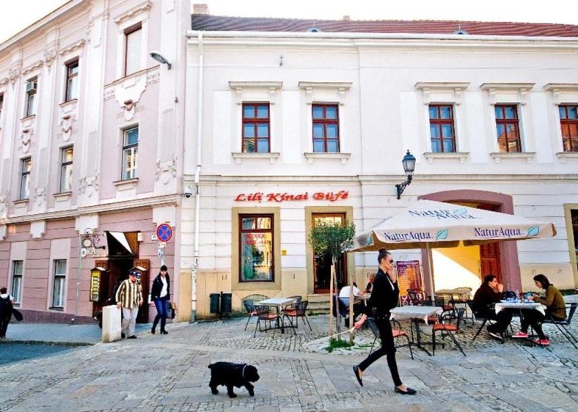 Baranya Pecs Entrance