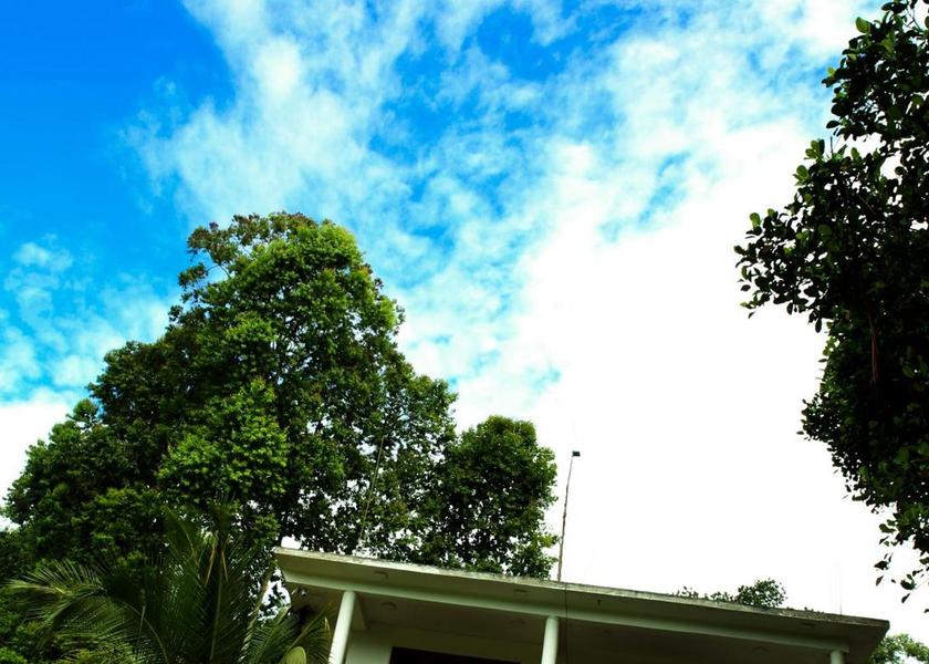 Uva Province Ella 